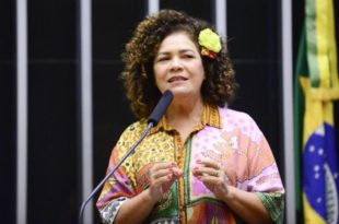 Perpétua apresenta projeto para proibir a cobrança de bagagens em voos nacionais