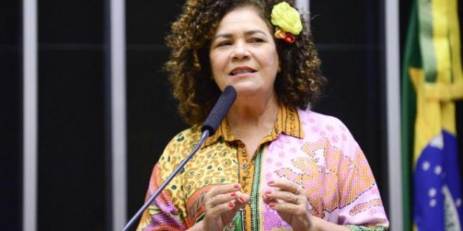 Perpétua apresenta projeto para proibir a cobrança de bagagens em voos nacionais