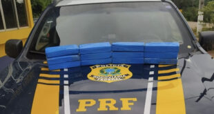 PF apreende contrabando de cigarros na BR 317