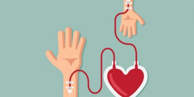 Projeto inclui doação de sangue entre as penas para crimes menores