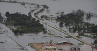 Projeto prevê reflorestamento para compensar inundação por hidrelétrica na Amazônia