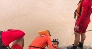 Equipe do CB auxilia Depasa em retirada de árvore presa em flutuante em Feijó