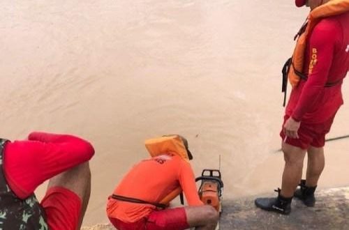 Equipe do CB auxilia Depasa em retirada de árvore presa em flutuante em Feijó