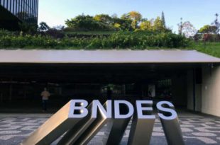 BNDES vai adquirir até R$ 10 milhões em créditos de carbono
