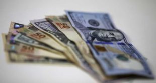 Dólar cai para R$ 5,03, um dia após Bancos Centrais definirem juros