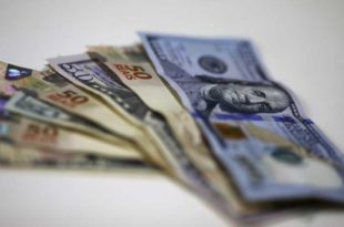 Dólar cai para R$ 5,03, um dia após Bancos Centrais definirem juros