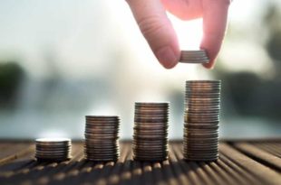 Investidor precisa estar atento às características de cada aplicação