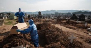Média móvel de mortes pela covid-19 no Brasil completa uma semana abaixo de 300