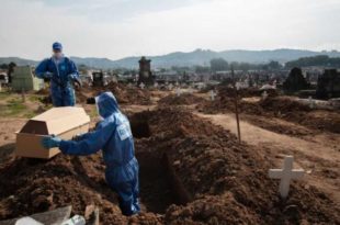 Média móvel de mortes pela covid-19 no Brasil completa uma semana abaixo de 300
