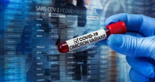 Nova linhagem da Ômicron avança, mas testes positivos para covid seguem em queda