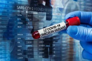 Nova linhagem da Ômicron avança, mas testes positivos para covid seguem em queda