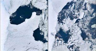 Satélite europeu mostra colapso de plataforma de gelo na Antártida