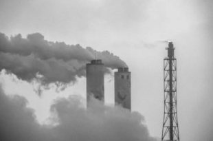 Aquecimento global de 1,5°C pode levar até 14% das espécies à extinção
