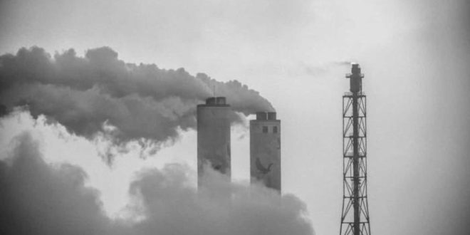 Aquecimento global de 1,5°C pode levar até 14% das espécies à extinção