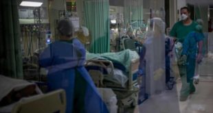 Brasil registra 559 mortes por covid-19 nas últimas 24 horas