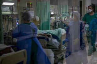 Brasil registra 559 mortes por covid-19 nas últimas 24 horas