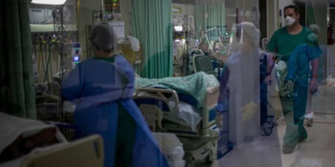 Brasil registra 559 mortes por covid-19 nas últimas 24 horas