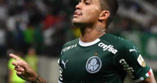 Dudu se torna jogador do Palmeiras com mais títulos no século