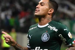 Dudu se torna jogador do Palmeiras com mais títulos no século