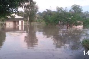 População da Terra Indígena Katukina-Kaxinauá, pede ajuda da Defesa Civil por causa da cheia do Rio Envira