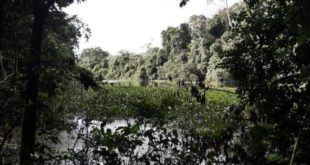 lago amapa