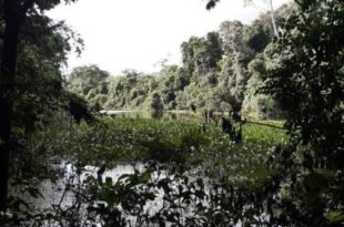 lago amapa