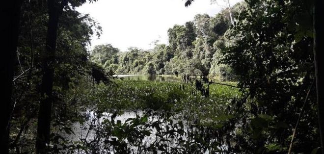 lago amapa