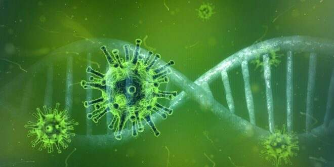Mortes ligadas à Covid podem ser o triplo do total registrado no mundo, aponta estudo