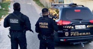 PF  flagra  crime ambiental em Floresta Pública Federal