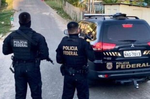 PF  flagra  crime ambiental em Floresta Pública Federal