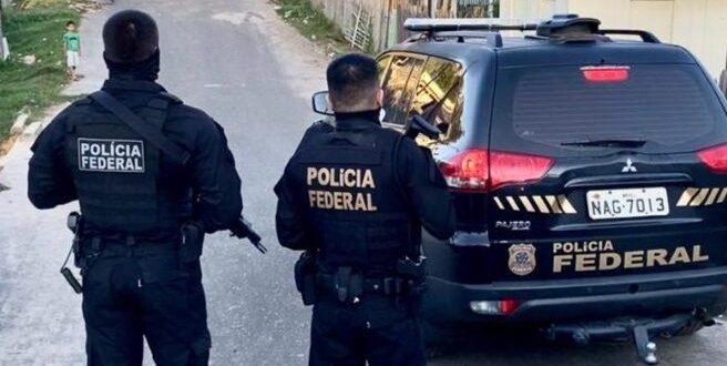 PF  flagra  crime ambiental em Floresta Pública Federal