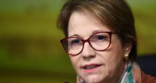 Preço de alimentos deve subir com guerra na Ucrânia, diz Tereza Cristina