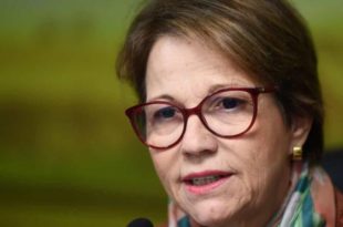 Preço de alimentos deve subir com guerra na Ucrânia, diz Tereza Cristina