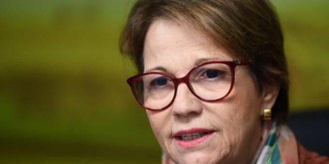Preço de alimentos deve subir com guerra na Ucrânia, diz Tereza Cristina