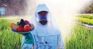 Projeto criminaliza falsificação e contrabando de agrotóxicos