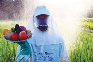 Projeto criminaliza falsificação e contrabando de agrotóxicos