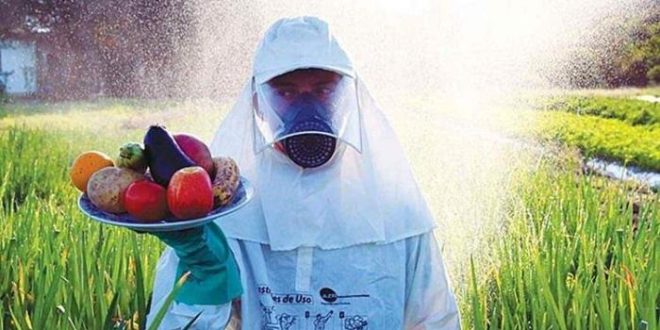 Projeto criminaliza falsificação e contrabando de agrotóxicos