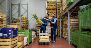 Proposta determina a utilização de estoques públicos para assegurar soberania alimentar