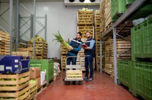 Proposta determina a utilização de estoques públicos para assegurar soberania alimentar