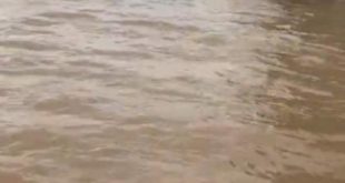 Rio Tarauacá apresenta sinais de vazante