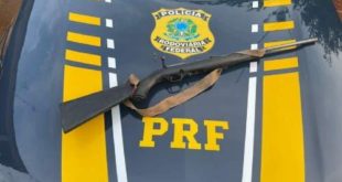 Polícia Rodoviária Federal apreende uma carabina e munição na BR-317