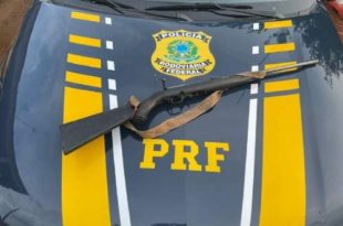Polícia Rodoviária Federal apreende uma carabina e munição na BR-317