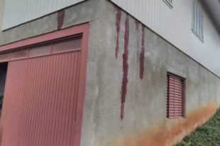 Vizinhos encontram família morta após notarem sangue escorrendo na parede de casa