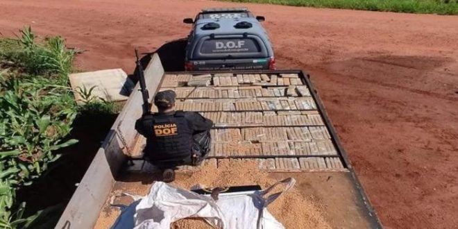 Polícia apreende quase 2 toneladas de maconha na fronteira com Paraguai