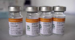 Coronavac como dose de reforço tem alta resposta imune, diz estudo do HC