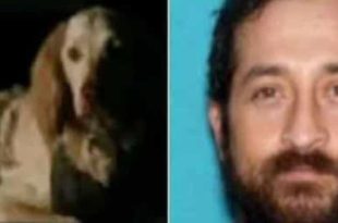 Corpo de alpinista é achado após 2 semanas sumido e cão se nega a deixá-lo