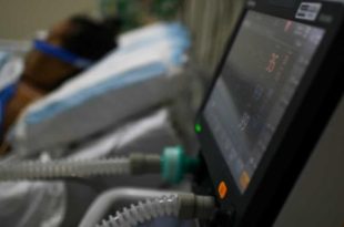 Fiocruz e Harvard explicam em estudo inflamação excessiva da covid-19