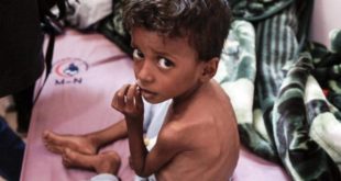 Índice de preço dos alimentos atinge o maior valor em 100 anos