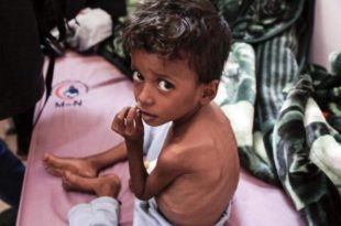 Índice de preço dos alimentos atinge o maior valor em 100 anos