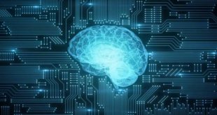 Inteligência artificial ajuda na análise de exames de saúde em até 15 minutos